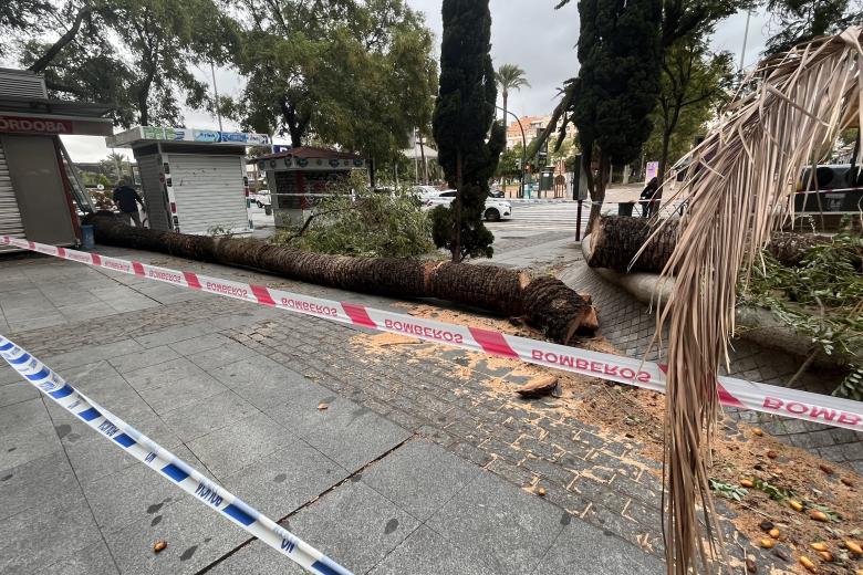 Las incidencias causadas por el temporal en imágenes