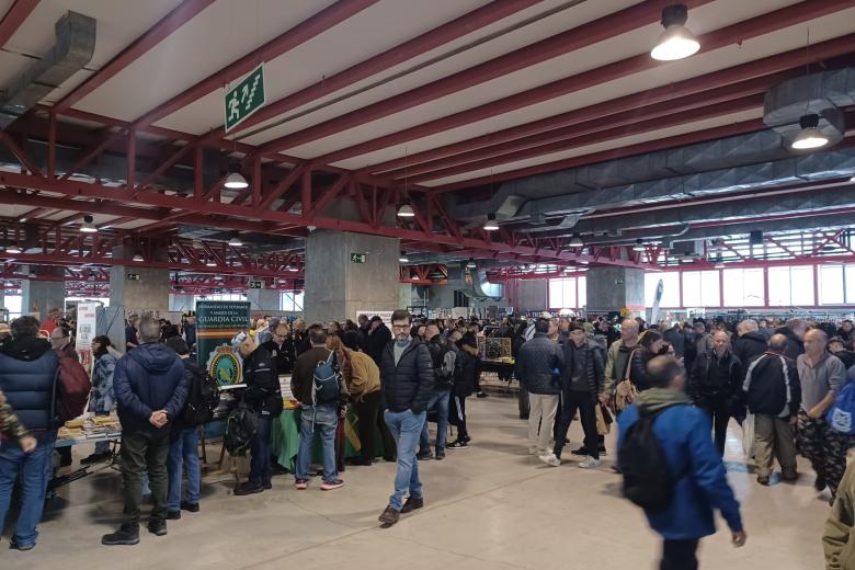 Vista del público que acudió en masa a No solo Militaria