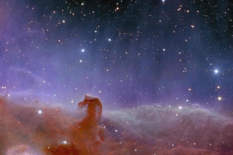 La Nebulosa Cabeza de Caballo, también conocida Barnard 33 y parte de la constelación de Orión. Se encuentra a 1.375 años luz de distancia y es la región de formación de estrellas gigantes más cercana a la Tierra. Debe su nombre a la forma que tiene la nube.