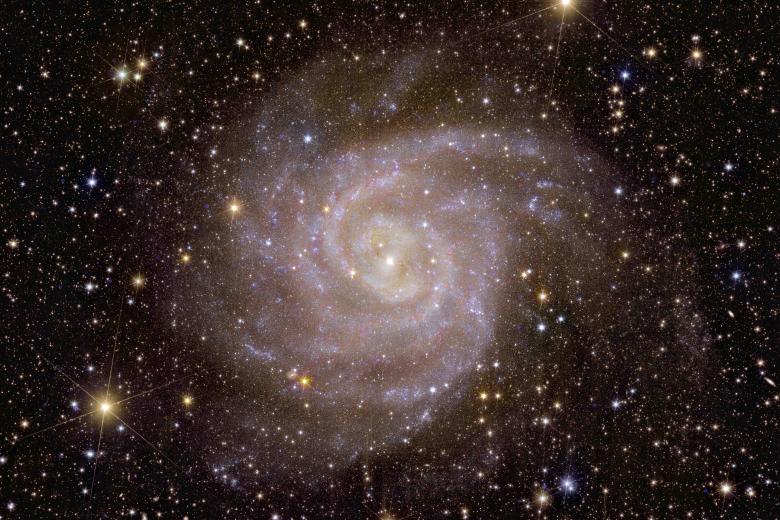 Galaxia espiral IC 342

Es una de las miles de millones de galaxias de las que Euclid obtendrá imágenes a lo largo de su vida. Gracias a su visión infrarroja, precisa la ESA, "Euclid ya ha descubierto información crucial sobre las estrellas de esta galaxia, que es parecida a nuestra Vía Láctea".