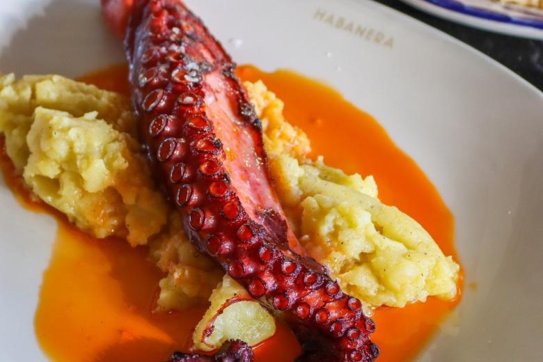 Pulpo braseado con puré de patatas al mortero
Pulpo braseado con puré de patatas al mortero

Pulpo braseado con puré de patatas al mortero

Pulpo braseado con puré de patatas al mortero