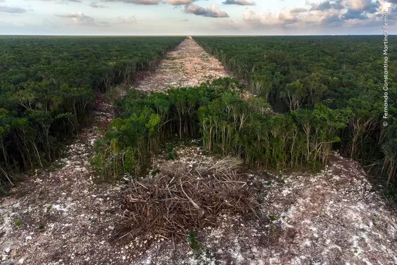 Una nueva línea de ferrocarril turístico a través de México devasta el paisaje natural en Paamul, Quintana Roo