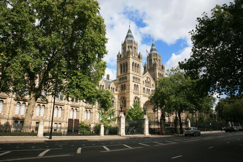 .museum,london,style of construction,architecture,architectural style,city,town,tourism,attraction,europe,museum,london,england,style of construction,architecture,architectural style,history,natural,natural history museum,west europe,uk,travel destinations,capital cities,place of interest,natural history museum,historic buildings,building exterior