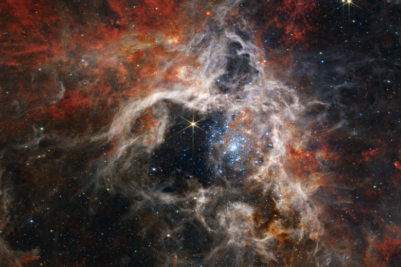 Nebulosa de la Tarántula

«En esta imagen en mosaico que se extiende a lo largo de 340 años luz, la cámara de infrarrojo cercano (NIRCam) de Webb muestra la región de formación estelar de la Nebulosa de la Tarántula bajo una nueva luz, incluidas decenas de miles de estrellas jóvenes nunca antes vistas que antes estaban envueltas en polvo cósmico. La región más activa parece brillar con estrellas jóvenes masivas, de color azul pálido. Esparcidas entre ellas hay estrellas todavía incrustadas, que parecen rojas, pero que aún no han emergido del polvoriento capullo de la nebulosa».