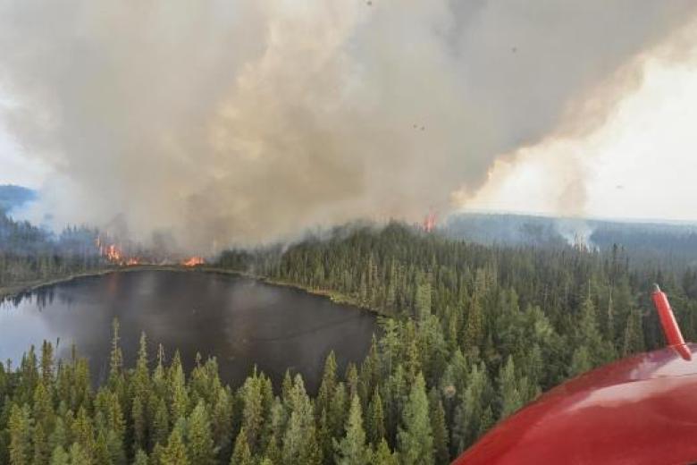 El 1 de marzo de este año comenzaron una serie de 6.669 incendios en Canadá que afectaron a todas sus provincias y arrasaron 18,5 millones de hectáreas, una extensión mayor que la del estado de Florida.