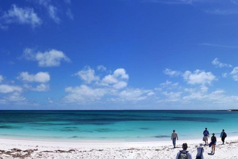 13.	Islas Albrohos, Australia Occidental: Australia, siendo uno de los países más biodiversos no sorprende que aparezca en la lista. Aquí podrás experimentar las riquezas submarinas de Australia, que no son la Gran barrera de Coral. A unos 60 kilómetros de la costa de Australia occidental albergan algunos de los paisajes más hermosas del país, tanto debajo y sobre el agua. También podrás disfrutar de la fauna, ya que las ballenas jorobadas emigran por esta zona durante el invierno del hemisferio sur, y si eres lo suficientemente afortunado podrás ver un león marino de cerca. La isla no tiene hoteles, por lo que aquellos viajeros que deciden aventurarse se tendrán que quedar fuera del archipiélago e ir en crucero.