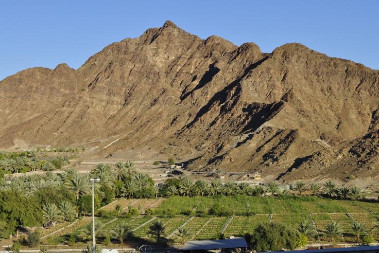 22.	Fujairah, Emiratos Árabes Unidos: Uno de los emiratos más pequeños y menos conocidos, también es uno de los más hermosos. Lleno de cadenas montañosas y playas vírgenes, ofrece un ambiente para relajarse y desconectar. Además, este lugar tiene un clima más fresco que los otros emiratos, por lo que se puede visitar en cualquier época del año. Sin embargo, en invierno es más agradable. La isla Snoopy, nombrada así por parecer al famoso perro, es el lugar ideal para bucear y observar la naturaleza como los arrecifes de coral.