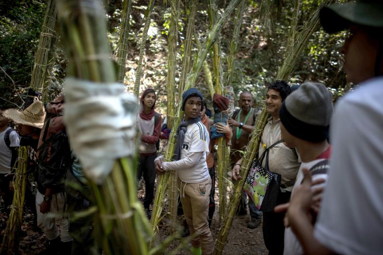 Integrantes de la cofradía Los Palmeros de Chacao, bajan desde el parque nacional El Ávila con ramas de palma real para ser bendecidas en la misa del Domingo de Ramos y posteriormente repartidas entre los fieles asistentes, en Caracas (Venezuela).
