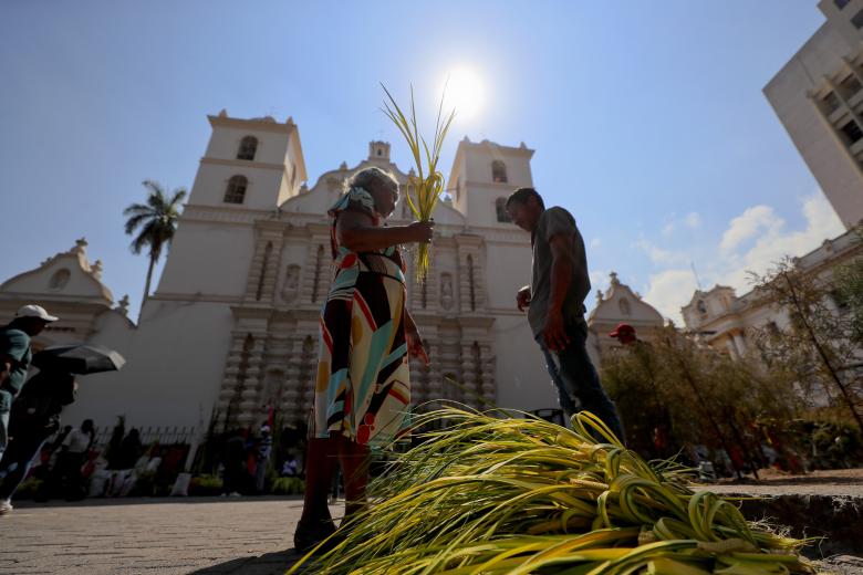 Campesinos hondureños venden ramos de palma en la Catedral San Miguel Arcángel de Tegucigalpa, Honduras. Campesinos de varias regiones llegan a ciudades importantes de Honduras como Tegucigalpa con las tradicionales palmas para la conmemoración del Domingo de Ramos que marca el inicio de la Semana Santa.