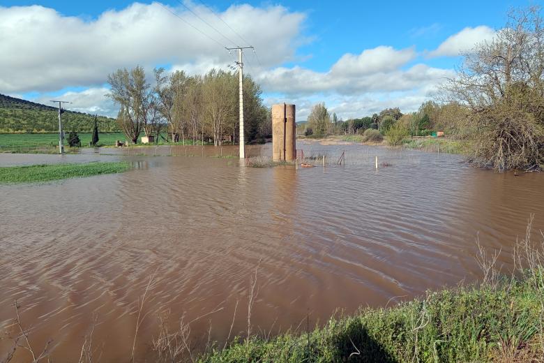 Vista de las zonas inundadas en el municipio de Malagón este pasado viernes. Los frentes de la borrasca Nelson dejaron a su paso por la provincia de Ciudad Rea más de 50 litros por metro cuadro en tan solo 48 horas.