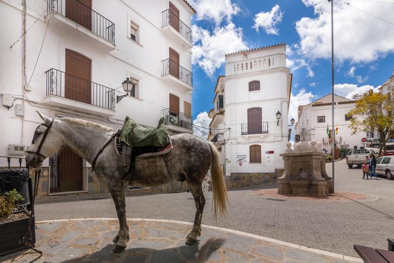 Casares