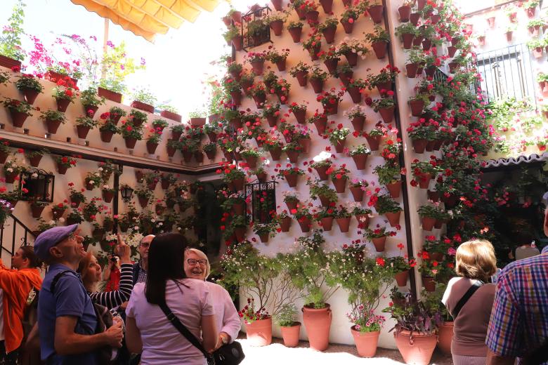 Patios cordobeses, ruta del barrio de San Basilio