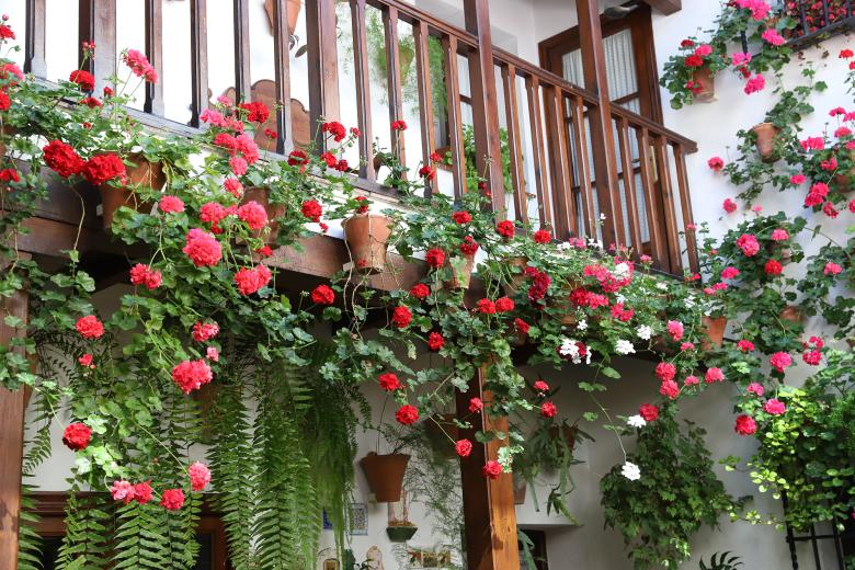 Patios cordobeses, ruta del barrio de San Basilio