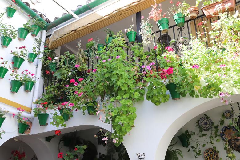 Patios cordobeses, ruta del barrio de San Basilio