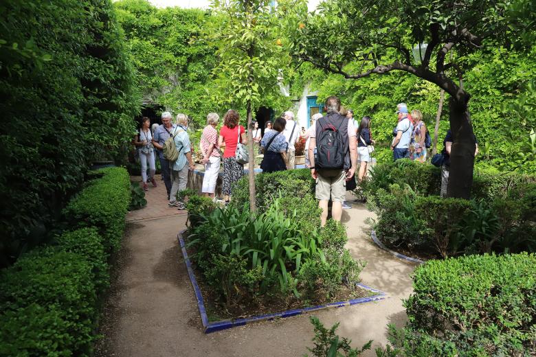 El Palacio de Viana celebra una jornada de puertas abiertas, con motivo del Festival de los Patios