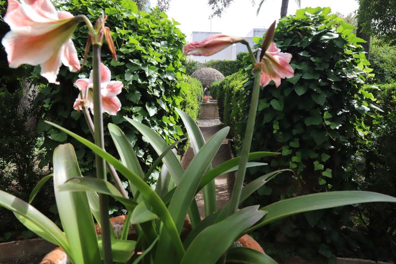 El Palacio de Viana celebra una jornada de puertas abiertas, con motivo del Festival de los Patios