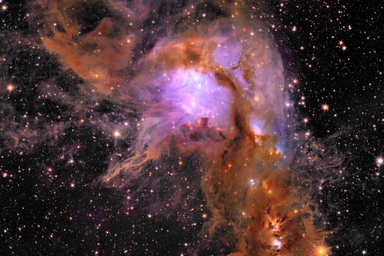 Otra de las fotografías muestra la región de formación estelar Messier 78, un vibrante vivero envuelto en polvo interestelar. Según la ESA, la imagen no tiene precedentes: es la primera vez que se obtiene una foto de esta joven región a esta anchura y profundidad.

Euclid se adentró en este ambiente con su cámara infrarroja, descubriendo por primera vez regiones ocultas de formación estelar, cartografiando sus complejos filamentos de gas y polvo, y descubriendo estrellas y planetas recién formados.