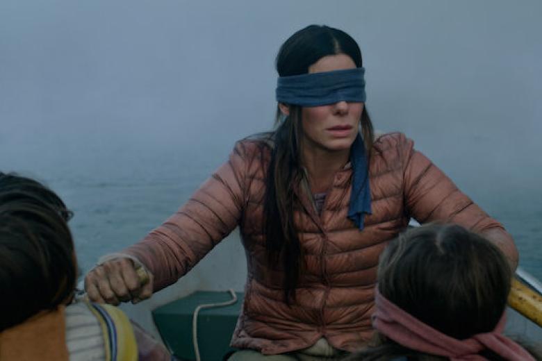 bird box