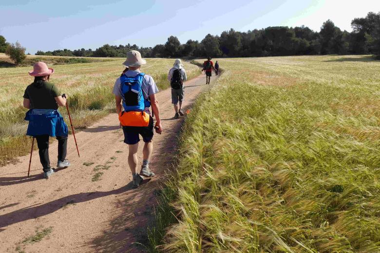 Camino Ignaciano. De la villa de Loyola a la ciudad de Manresa: esta es la ruta que podemos realizar para ponernos en las sandalias de san Ignacio de Loyola, fundador de los jesuitas, que vivió en una cueva de esta localidad barcelonesa una profunda experiencia de conversión que cambiaría su vida y la de toda la Iglesia.