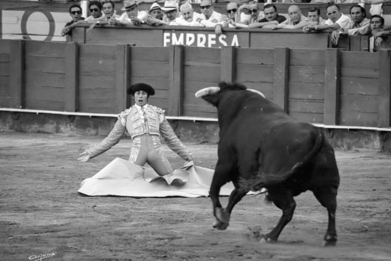 El 26 de septiembre de 1984 el toro Avispado cogió al diestro Francisco Rivera “Paquirri” en una cornada mortal durante la feria de Pozoblanco. El torero moriría de camino al hospital de Córdoba con la pierna abierta. El centro cultural de la plaza de toros de La Malagueta acoge del 8 al 24 de agosto una exposición de fotografías para recordar el 40 aniversario de la mortal cogida.