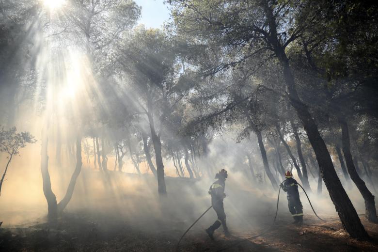 Los bomberos intentan extinguir un incendio forestal en Patima Halandri, un suburbio de Atenas