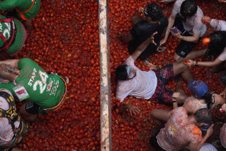 tomatina 11