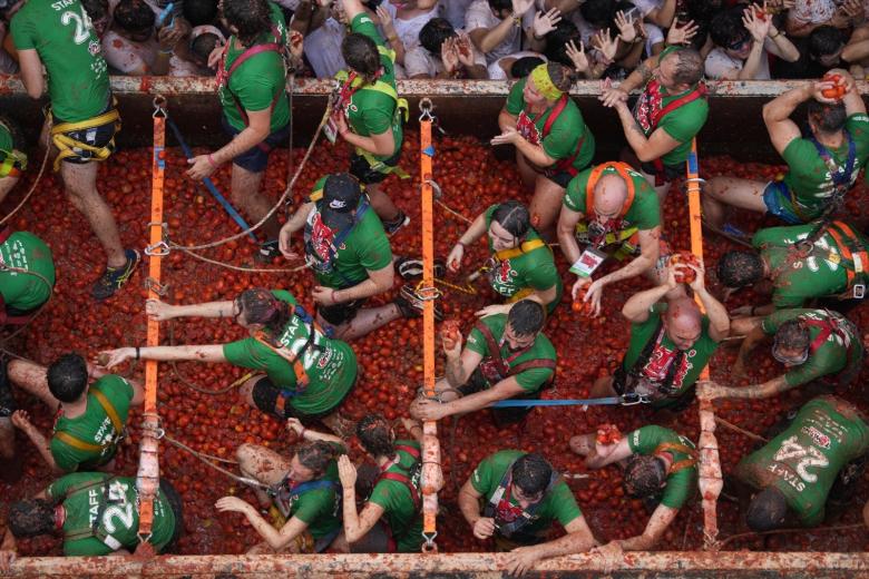 tomatina 12