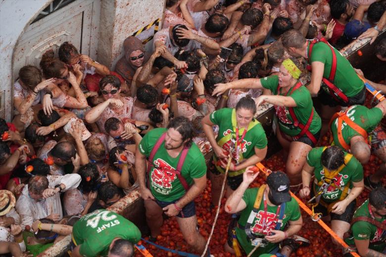 tomatina 13