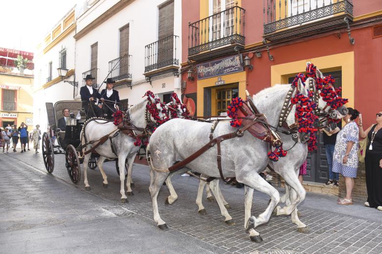 arriving to Constanza Villa-Mir and Daniel's wedding in Seville. October 4 2024