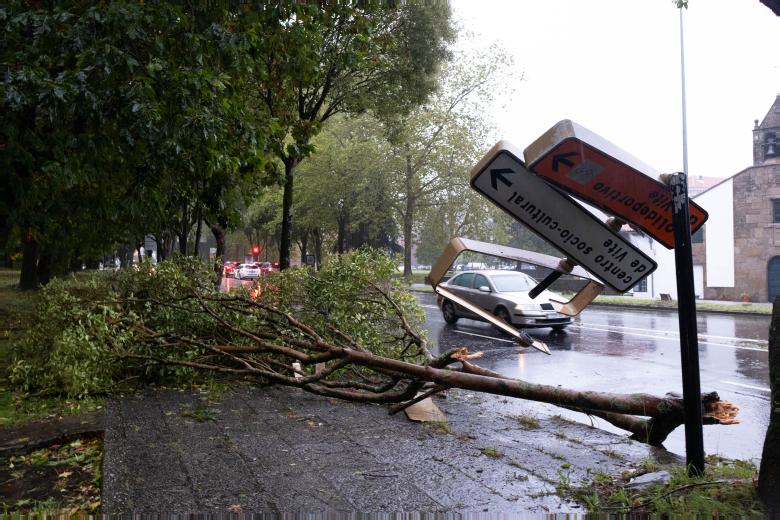 SANTIAGO DE COMPOSTELA, 09/10/2024.- Un panel anuncia el nivel de Alerta y Caida de árboles sobre las señales y mobiliario urbano en las inmediaciones de la sede central de la Xunta de Galicia en San Caetano en Santiago. La potente borrasca atlántica, antiguo huracán Kirk, mantiene este miércoles en alerta a toda España, salvo el archipiélago de Canarias, por rachas de viento de 120 kilómetros por hora además de mala mar en el litoral, con olas de hasta 7 metros y fuertes lluvias, que acumularán 100 litros por metro cuadrado en 12 horas. EFE/ Xurxo Martínez