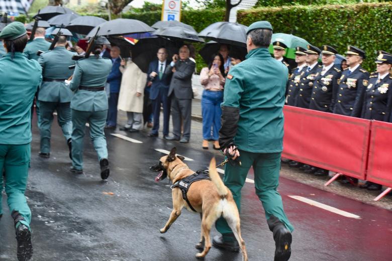 El desfile de la Guardia Civil, en imágenes