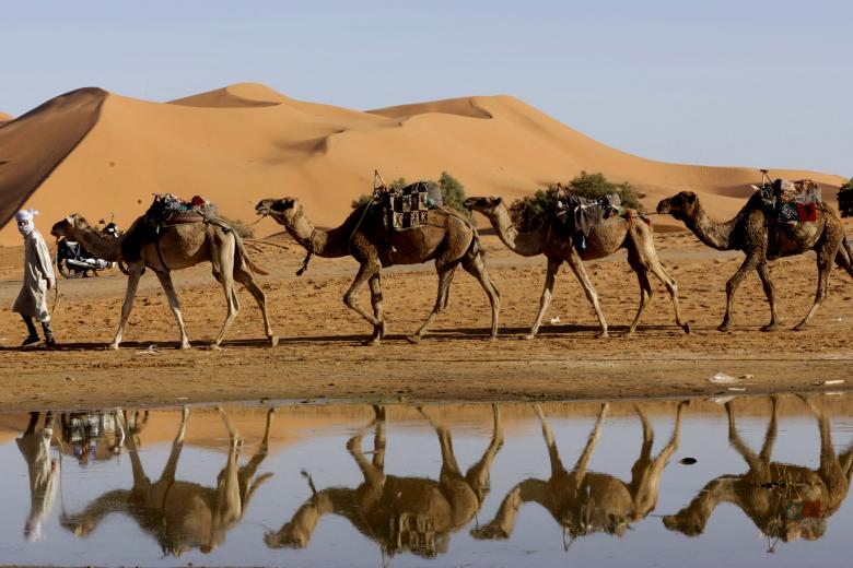 Las inusuales lluvias torrenciales del mes pasado provocaron inundaciones que mataron al menos a 18 personas en áreas del sur de Marruecos