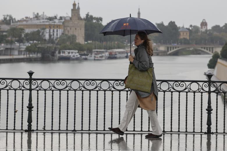 Una mujer resguardada por un paraguas camina por Sevilla capital este jueves en el que la Agencia Estatal de Meteorología (Aemet) mantiene la alerta naranja por lluvias en la provincia sevillana. EFE /José Manuel Vidal