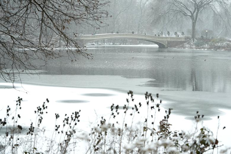 Más de 60 millones de estadounidenses están en alerta por una tormenta de nieve que afecta este lunes a buena parte del país, especialmente a la costa este, donde se esperan acumulaciones notables de nieve que ya han provocado cancelaciones de miles de vuelos y cortes de energía en algunos puntos