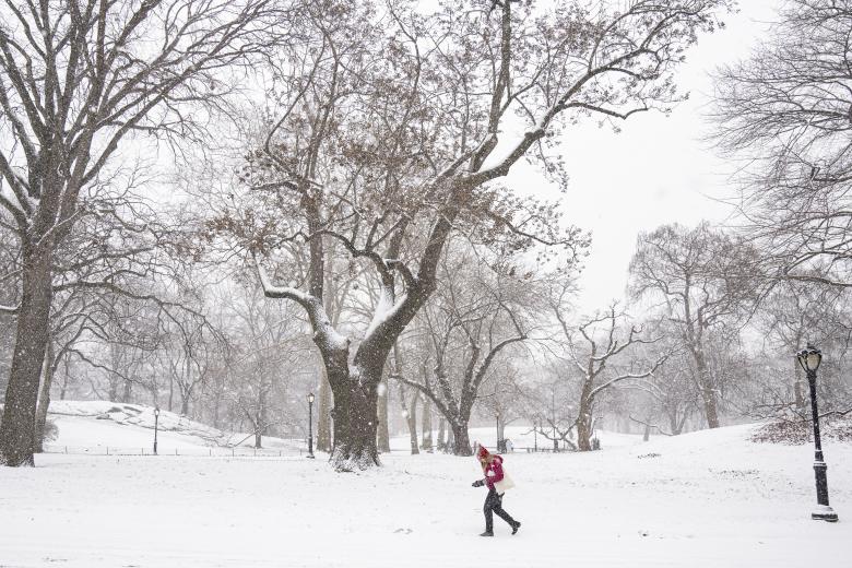 Más de 60 millones de estadounidenses están en alerta por una tormenta de nieve que afecta este lunes a buena parte del país, especialmente a la costa este, donde se esperan acumulaciones notables de nieve que ya han provocado cancelaciones de miles de vuelos y cortes de energía en algunos puntos