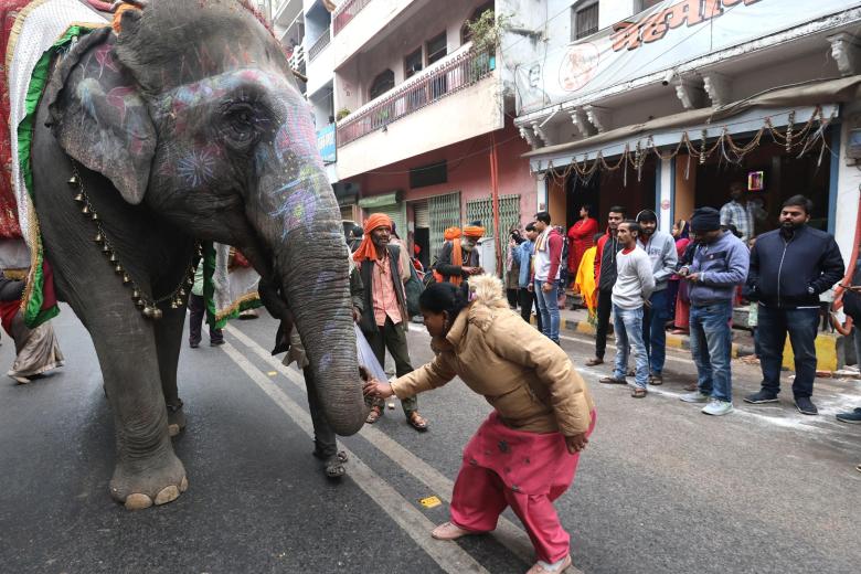 Un devoto hindú acariciando un elefante