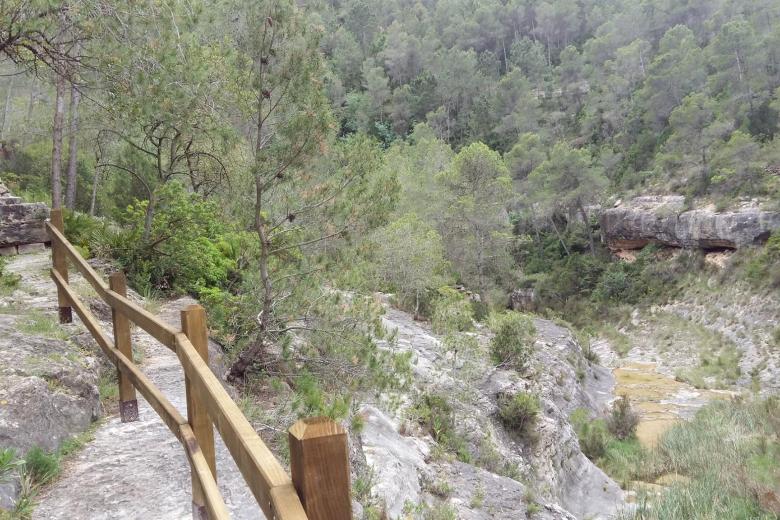 Pinturas rupestres en la ruta del Barranco Moreno en Bicorp