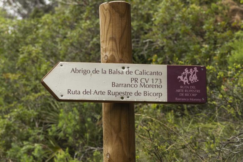 Pinturas rupestres en la ruta del Barranco Moreno en Bicorp