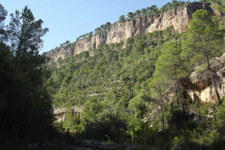 Pinturas rupestres en la ruta del Barranco Moreno en Bicorp