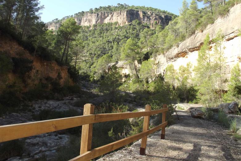 Pinturas rupestres en la ruta del Barranco Moreno en Bicorp