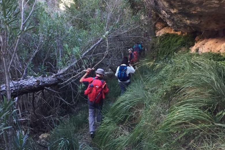 Pinturas rupestres en la ruta del Barranco Moreno en Bicorp