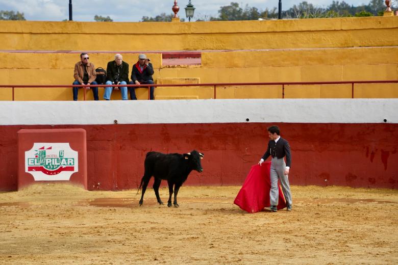 I Fiesta Campera benéfica de la parroquia La Trinidad