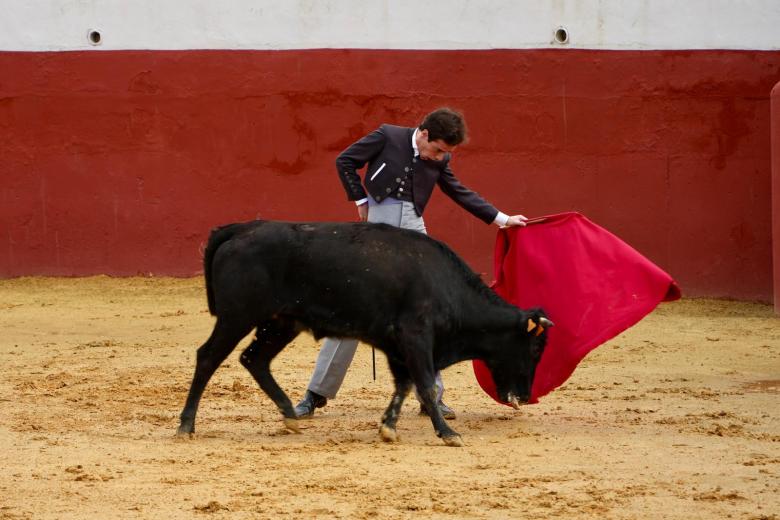 I Fiesta Campera benéfica de la parroquia La Trinidad