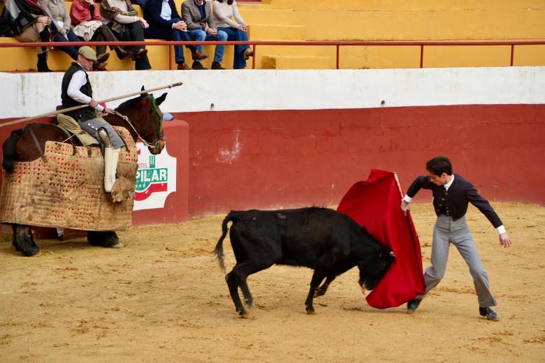I Fiesta Campera benéfica de la parroquia La Trinidad