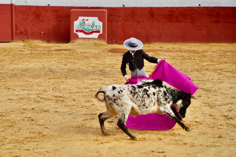 I Fiesta Campera benéfica de la parroquia La Trinidad