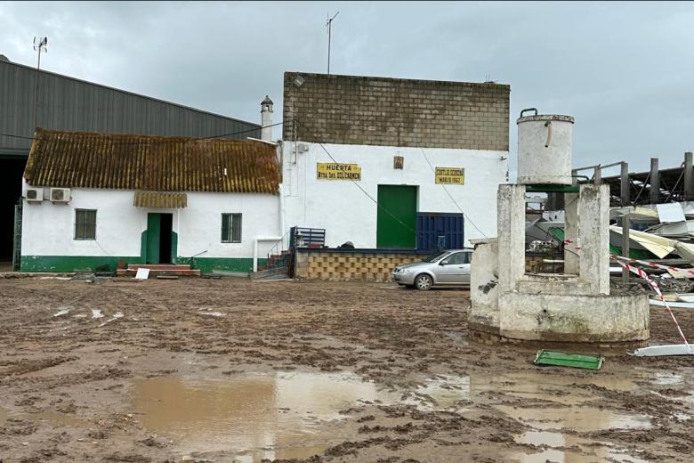 CORIA DEL RÍO (SEVILLA), 04/04/2025.-  Tres personas han fallecido este viernes en el derrumbe de una nave industrial del término municipal de Coria del Río (Sevilla), en el conocido como Cortijo El Sequero, que se ha derrumbado por efecto del fuerte viento y la lluvia. EFE/Diputación Sevilla // SOLO USO EDITORIAL/SOLO DISPONIBLE PARA ILUSTRAR LA NOTICIA QUE ACOMPAÑA (CRÉDITO OBLIGATORIO)