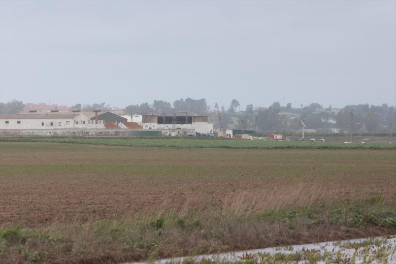 CCOO de Sevilla insiste en que la ley obliga a adaptar la jornada en caso de climatología adversa después de que tres trabajadores hayan muerto este viernes