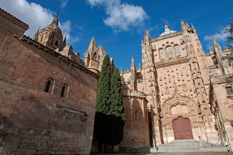 Catedral vieja de Salamanca
