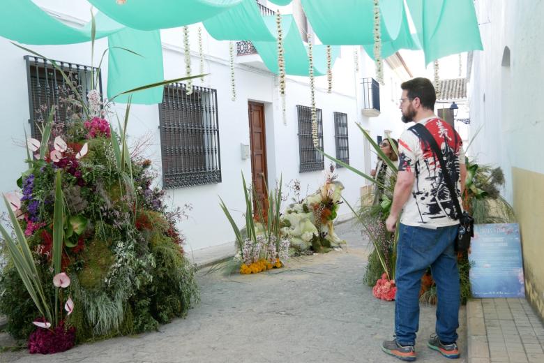Intervenciones florales en Cañete de las Torres