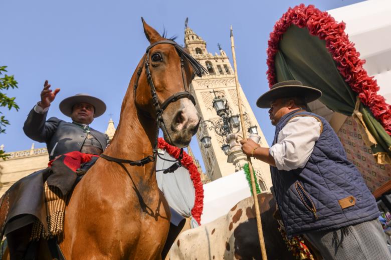 Carretas de la Hermandad de El Rocío de Sevilla-El Salvador esperan al Simpecado en la Plaza del Triunfo, bajo la Giralda en su salida hacia la aldea almonteña este miércoles. EFE/ Raúl Caro.